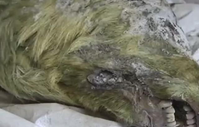沉睡了4萬年，冰川融化后，人類親手復(fù)活了一群可怕的未知生物