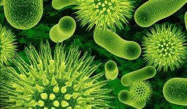沉睡了4萬年，冰川融化后，人類親手復(fù)活了一群可怕的未知生物
