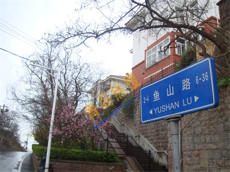 魚3.jpg