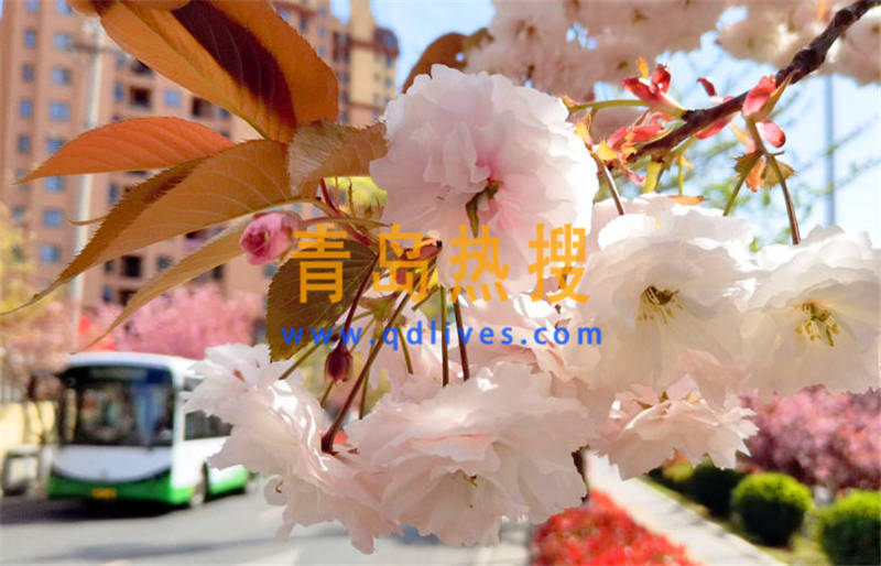 微信截圖_20200422233223.jpg