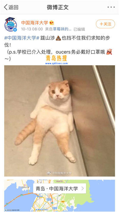 afa0b01dce2d7e46aa84e348c2f031d.jpg