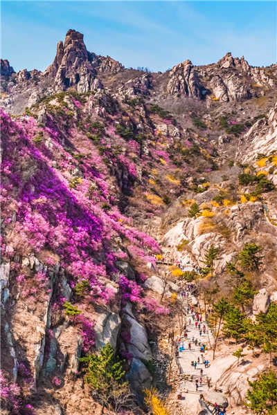 640.webp (1)_副本1.jpg