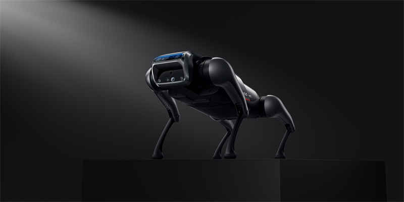 CyberDog  (1).jpg
