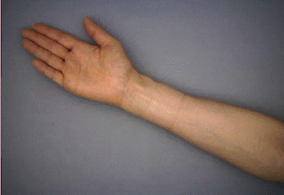image010.gif