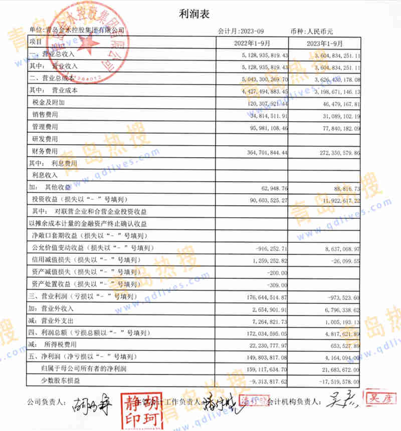 金水集團(tuán)利潤(rùn)表.jpg
