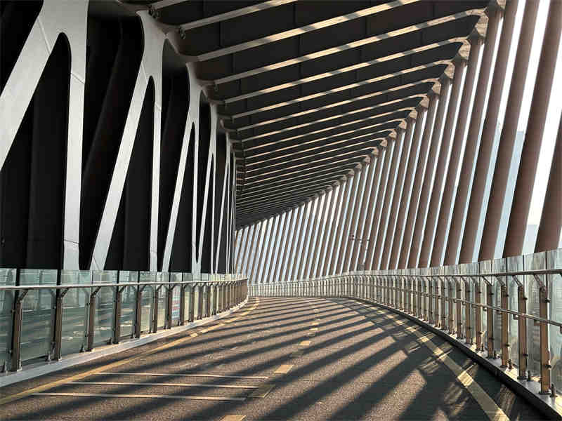 Apple_Shot-on-iPhone_Shot-on-iPhone-15-Plus-with-the-Main-camera-by-Vision-Changsha.jpg