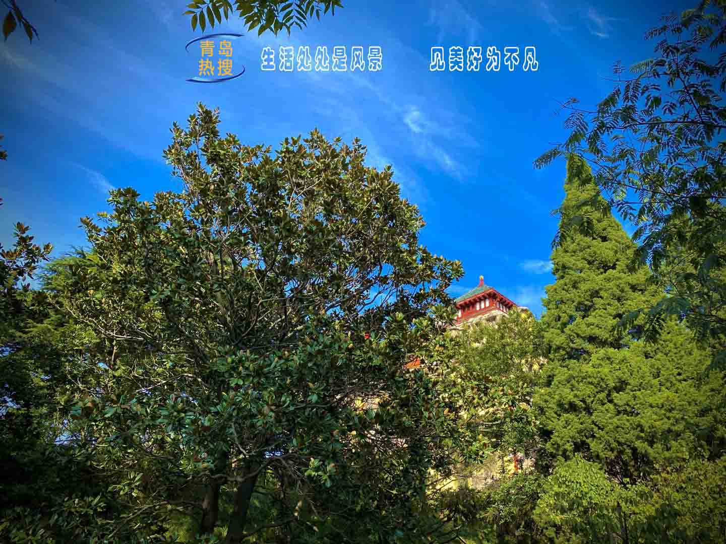 美景.jpg